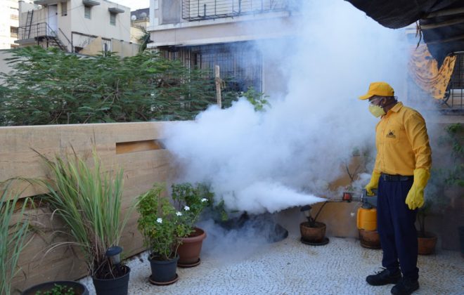 A pest control expert inspecting and treating pests on-premises