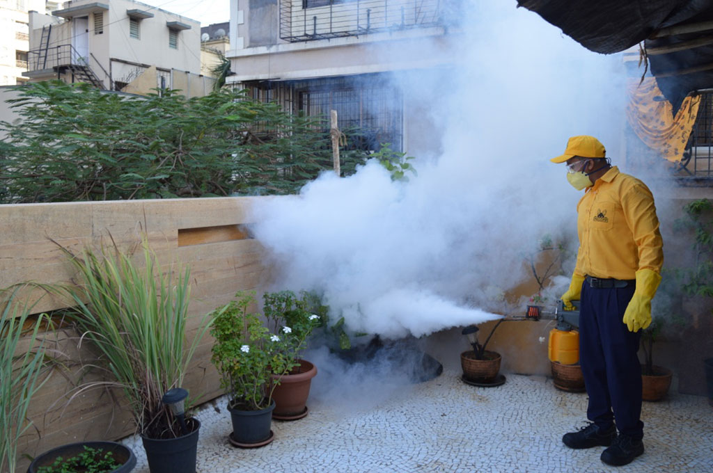 A pest control expert inspecting and treating pests on-premises