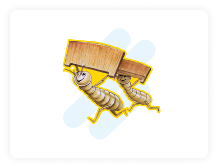 Component 3 Component 3