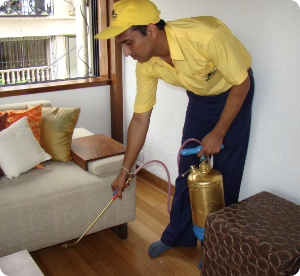 Rectangle 111 Rectangle 111