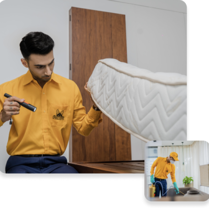 bedbugs-Group 181 bedbugs-Group 181