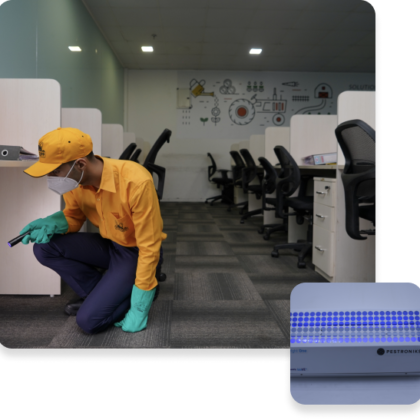 flies-Group 180 flies-Group 180