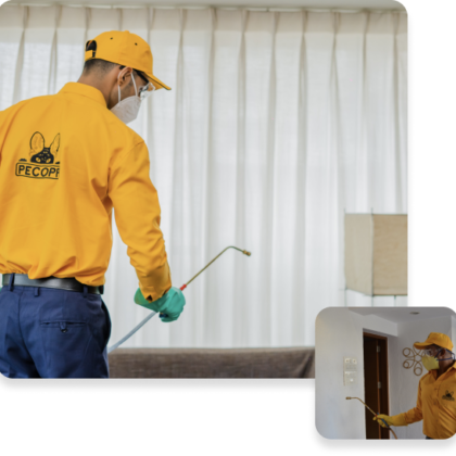 mosquitoes-Group 185