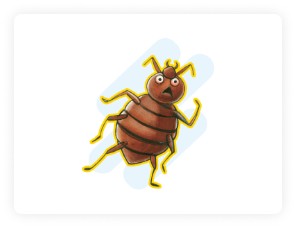 bedbug-min bedbug-min