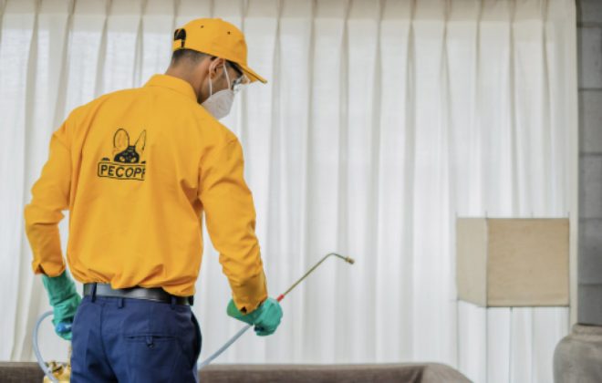 Man Servicing - Pepcopp