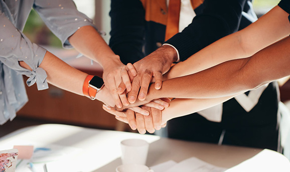 pecopp blog - Pest control services