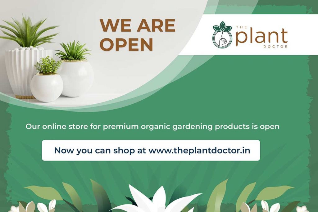 plant doctor new blog