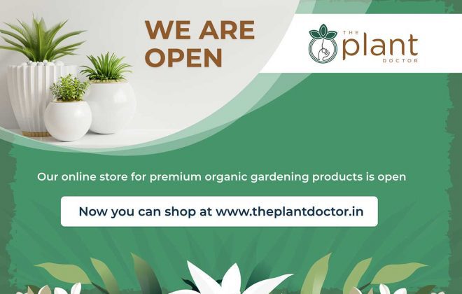 plant doctor new blog