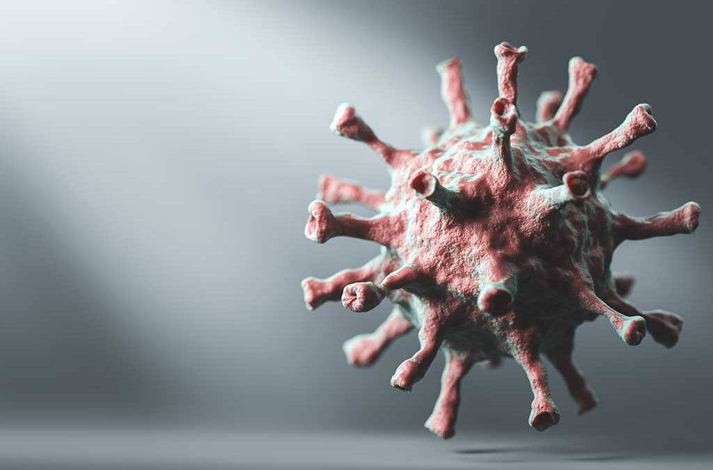 need for professional pest control blog