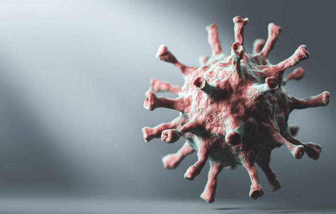 need for professional pest control blog