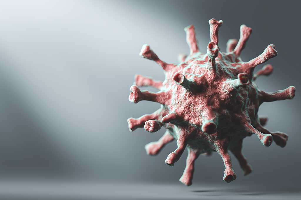 need for professional pest control blog