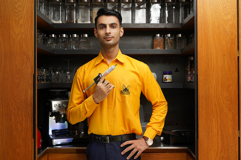 Pest control services